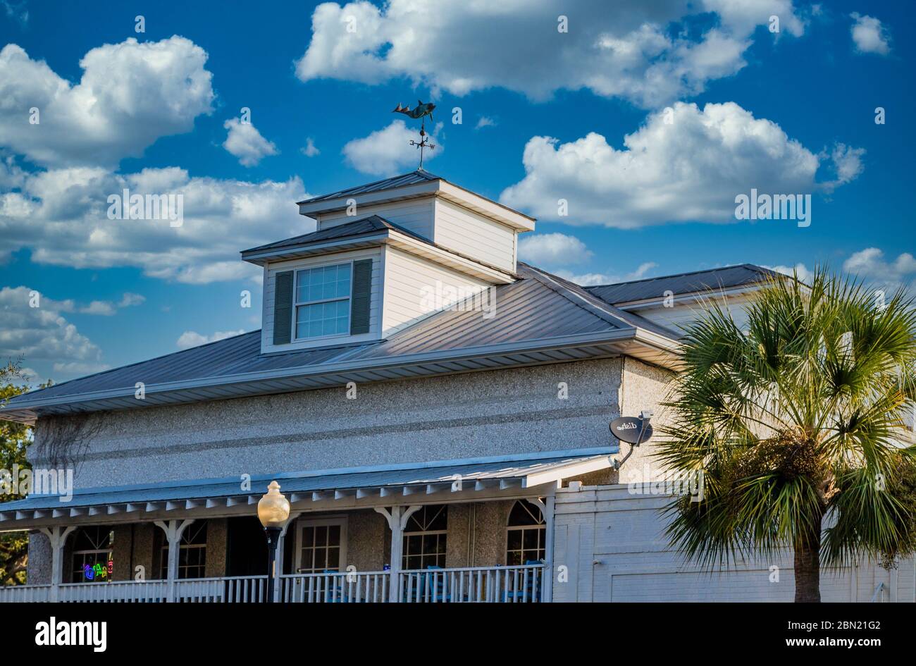Palms by Roof and Cupola Stock Photo