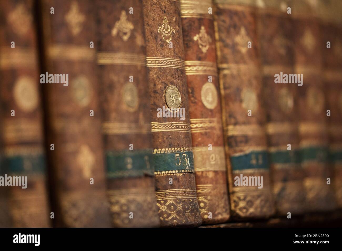 Antique aged books on wooden shelf. Concept on the theme of history