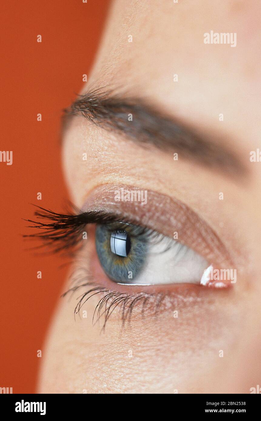 Young woman's eye. Stock Photo