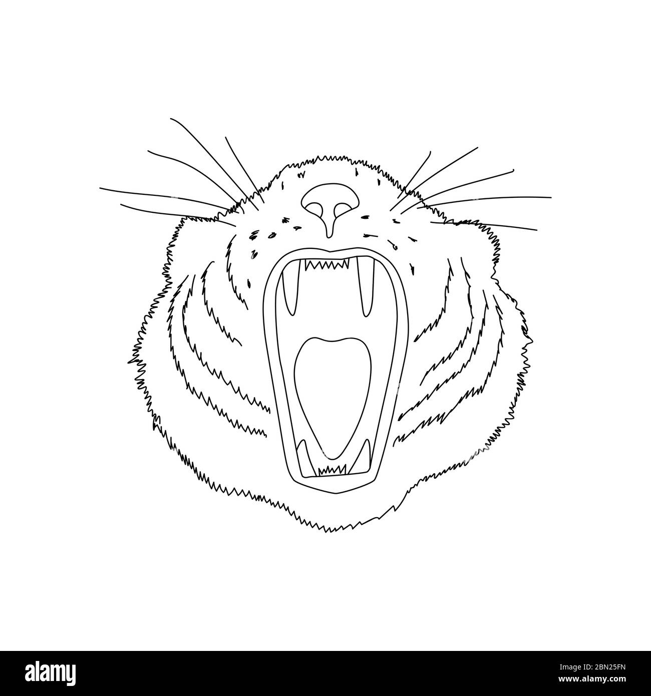 Tiger's head. Line art doodle sketch. Black outline on white background. Background can be used in greeting cards, posters, flyers, banners, logos etc. Vector illustration. EPS10 Stock Vector