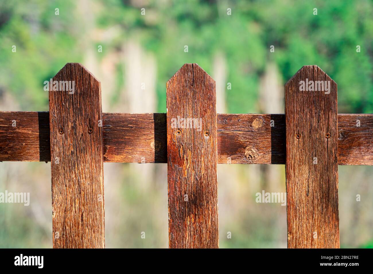 Natural privacy fence hi-res stock photography and images - Alamy