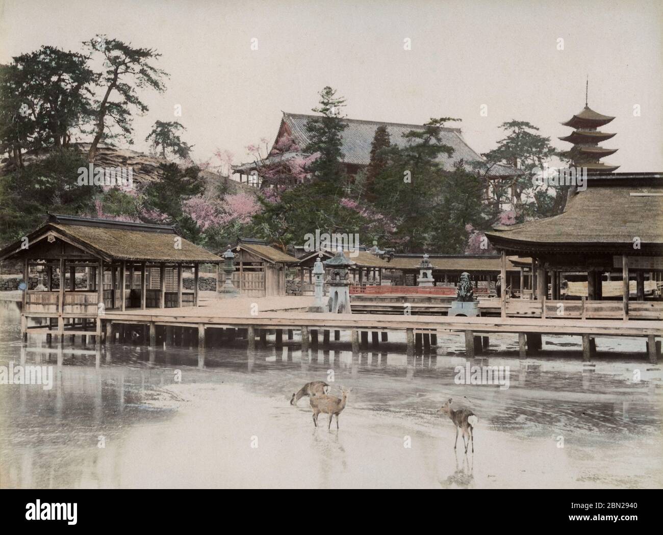 Itsukushima Shrine Miyajima Aki Japan Stock Photo Alamy