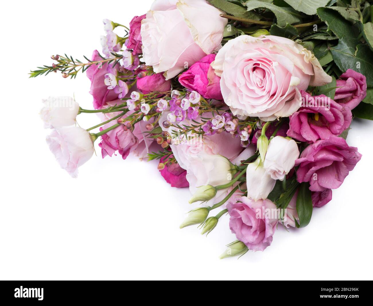 Bouquet of different roses over white background Stock Photo - Alamy