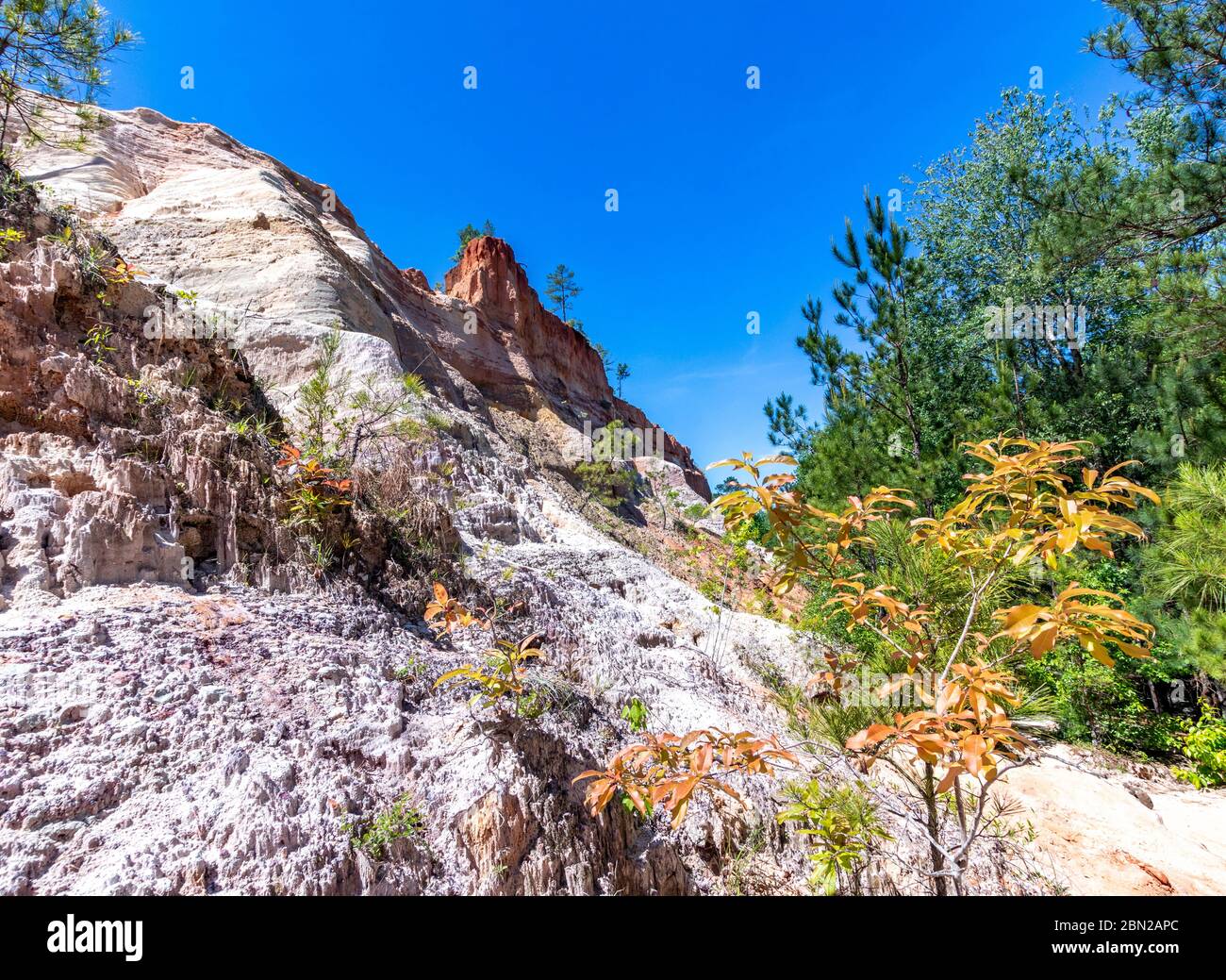 A bit of Spring color in the plants along the canyon floor Stock Photo