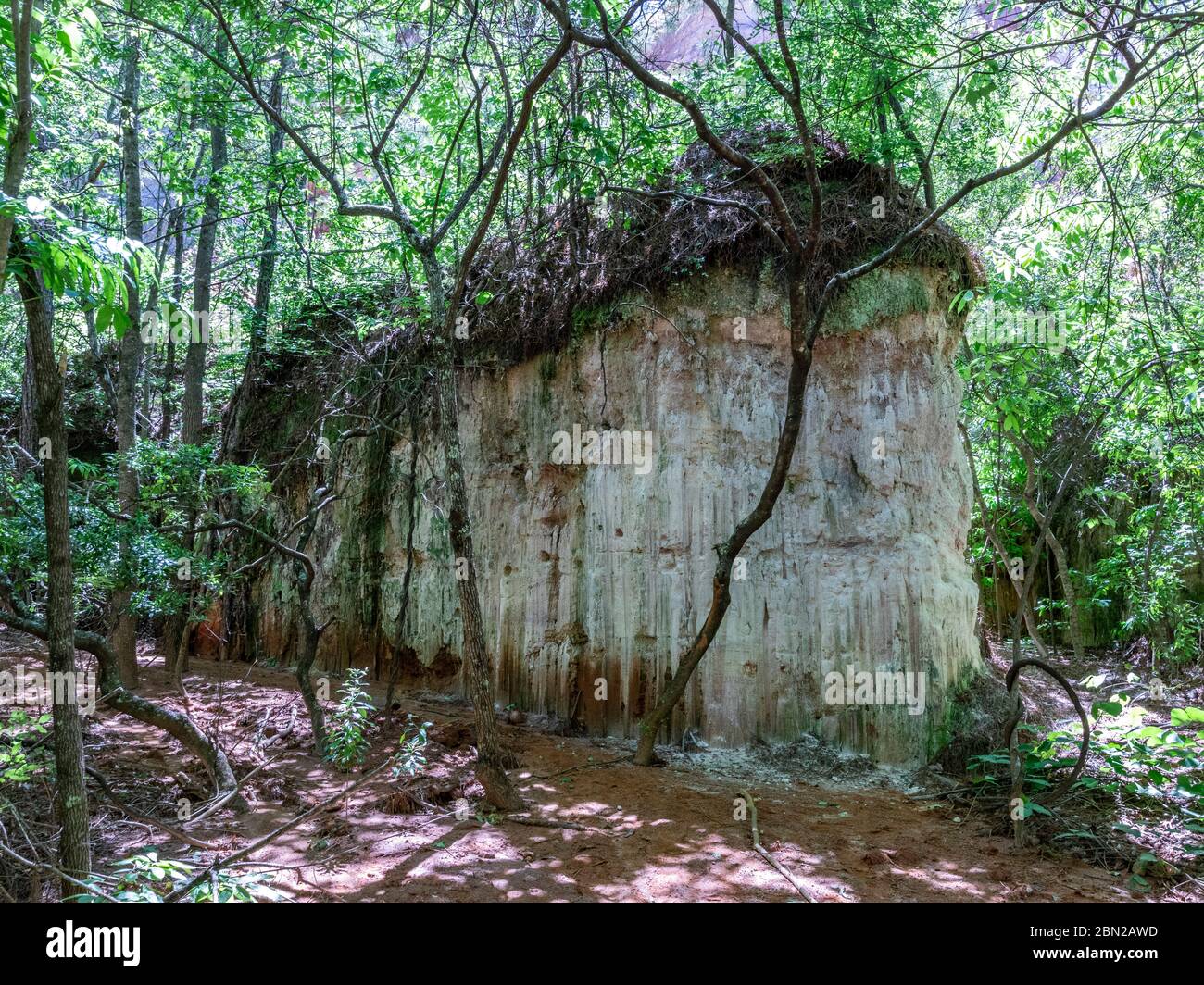 Unusual rock formation in a wooded area along the canyon floor at Providence canyon Stock Photo