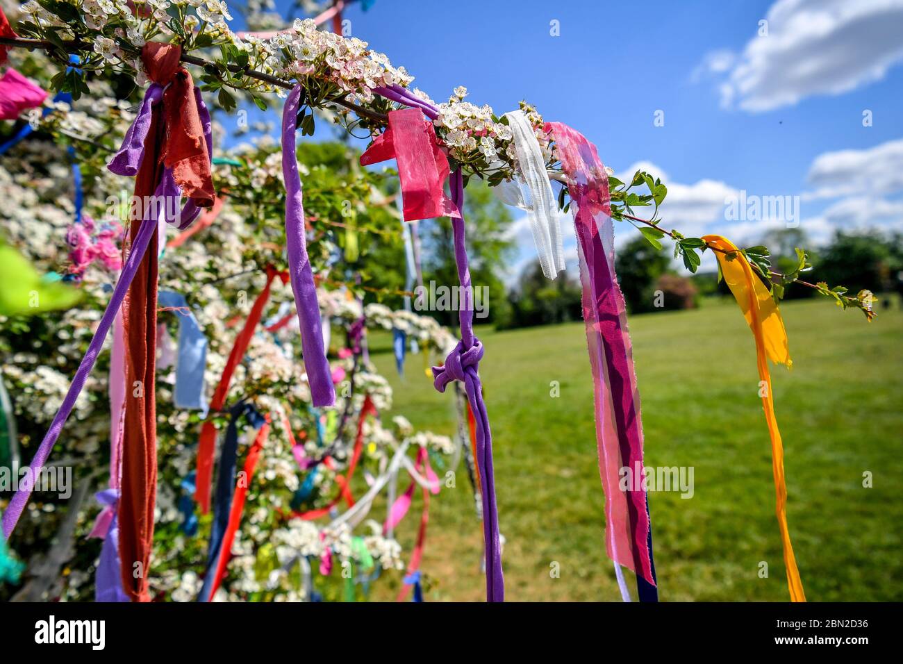 Ribbons tied to a wishing tree, also adorned with messages and poems, which has appeared on Clifton Downs, Bristol, where coronavirus messages and sentiments of hope and positivity have been tied to the tree by colourful ribbons. Stock Photo