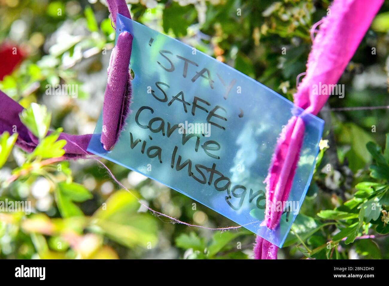 A message tied to a wishing tree, adorned with ribbons, messages and poems, which has appeared on Clifton Downs, Bristol, where coronavirus messages and sentiments of hope and positivity have been tied to the tree by colourful ribbons. Stock Photo