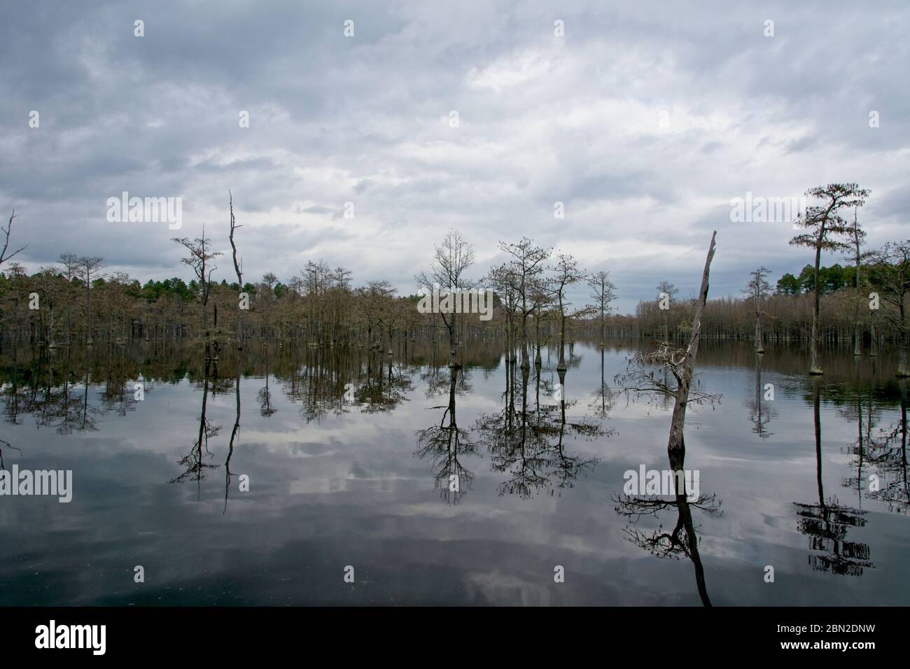 L Smith State Park in USA Stock Photo Alamy