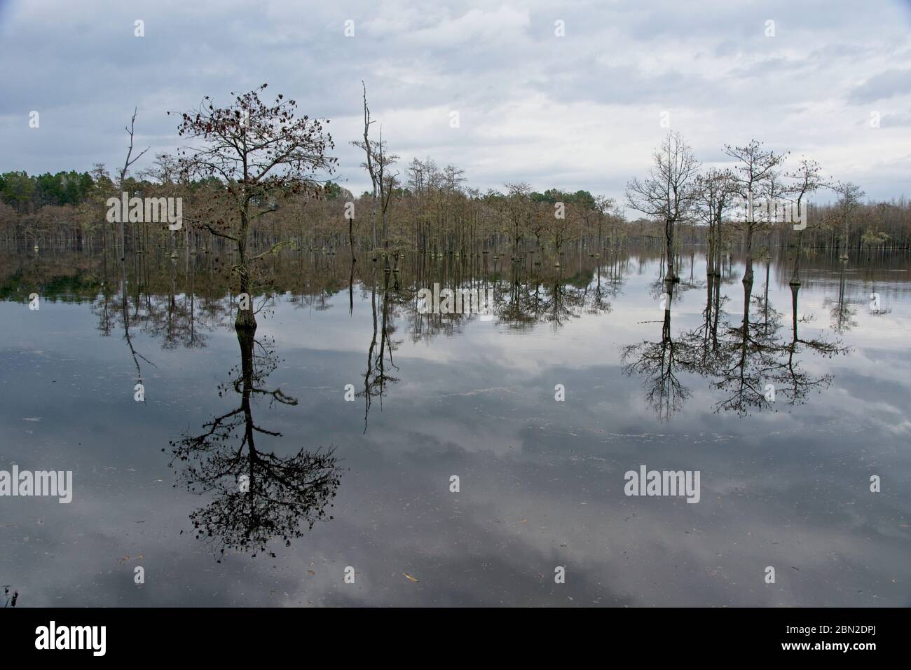 L Smith State Park in USA Stock Photo Alamy