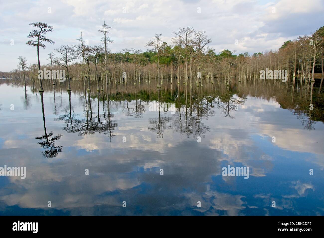 smith state park hires stock photography and images Alamy