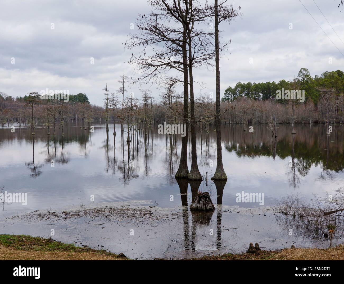 L Smith State Park in USA Stock Photo Alamy