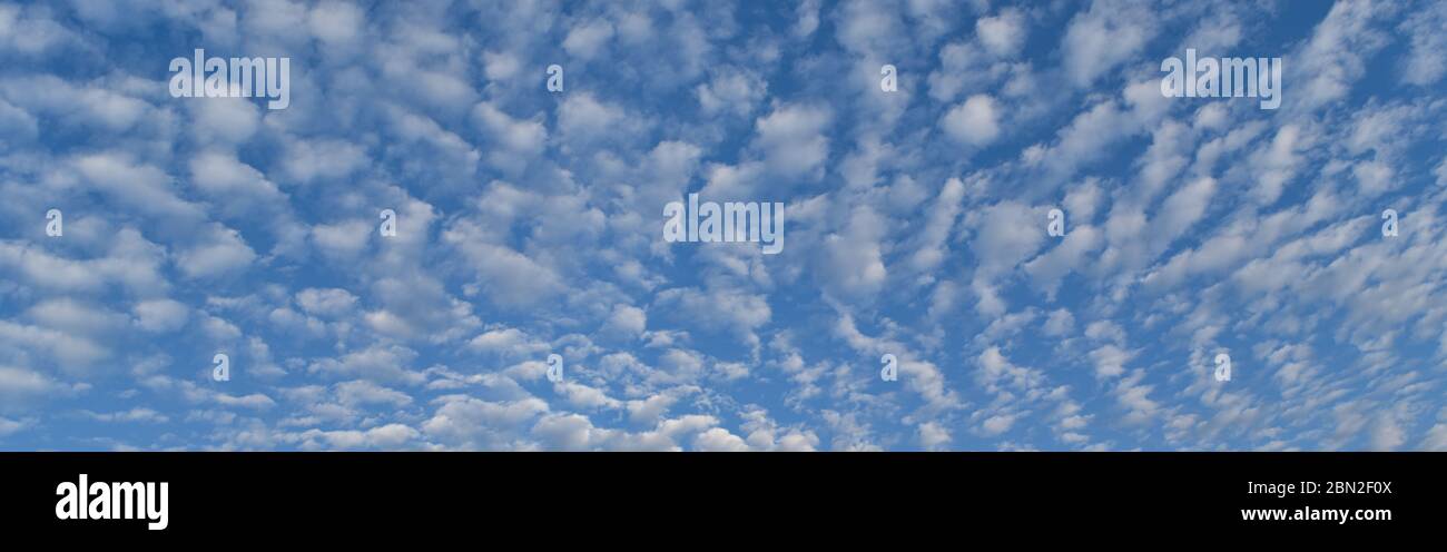 Blue sky with lots small clouds. panorama picture. Stock Photo