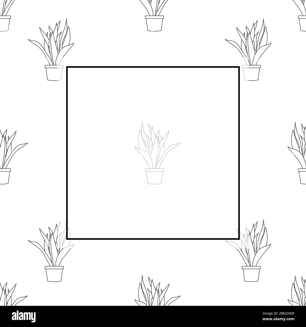 Snake Plant Outline Banner on White Background. Vector Illustration