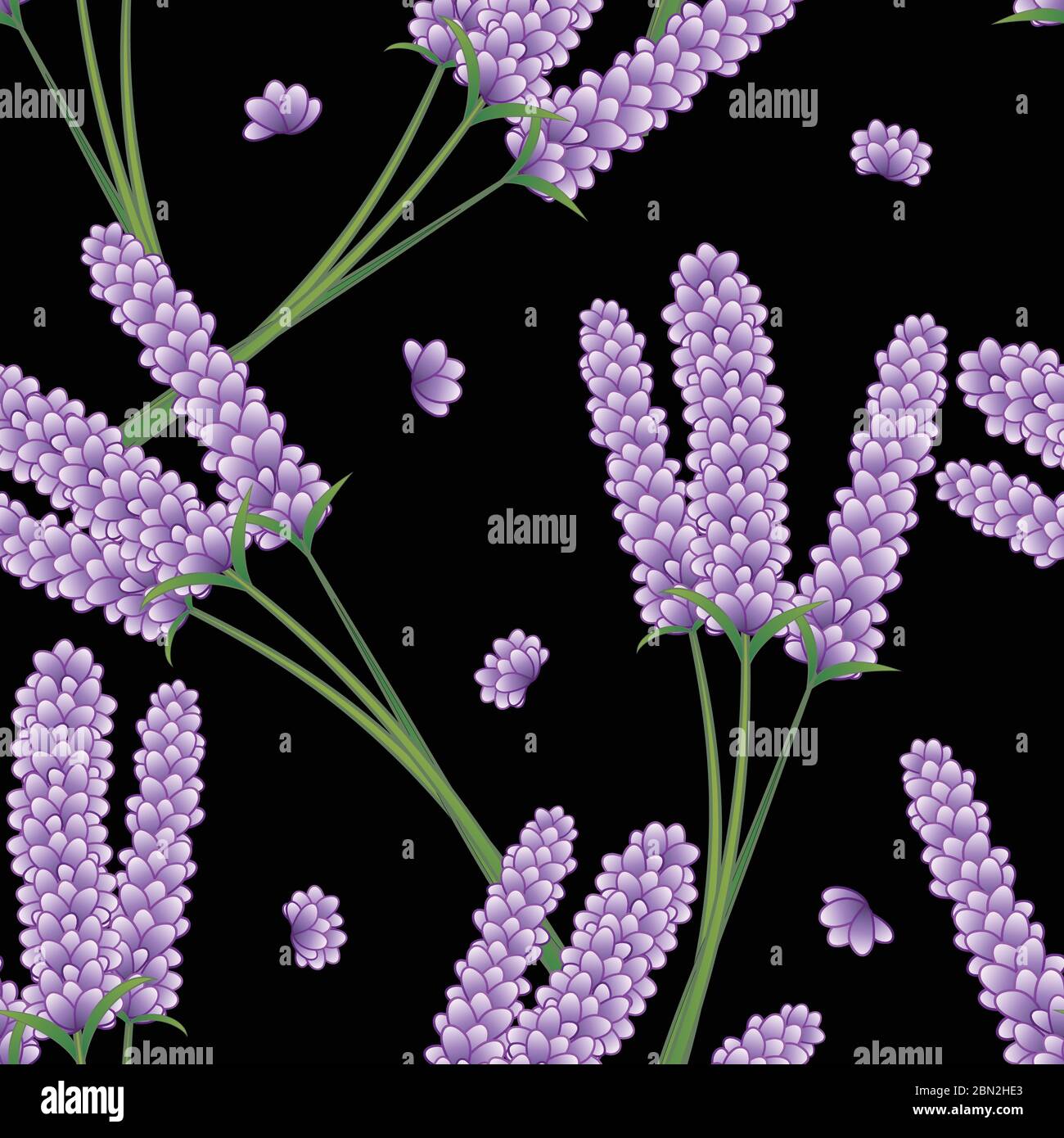 Lavender Flower Seamless on Black Background. Vector Illustration Stock ...