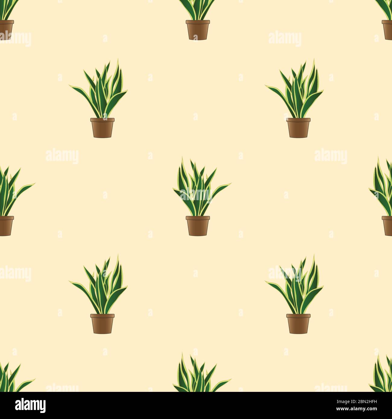 Snake Plant Seamless on Ivory Background. Vector Illustration Stock Vector
