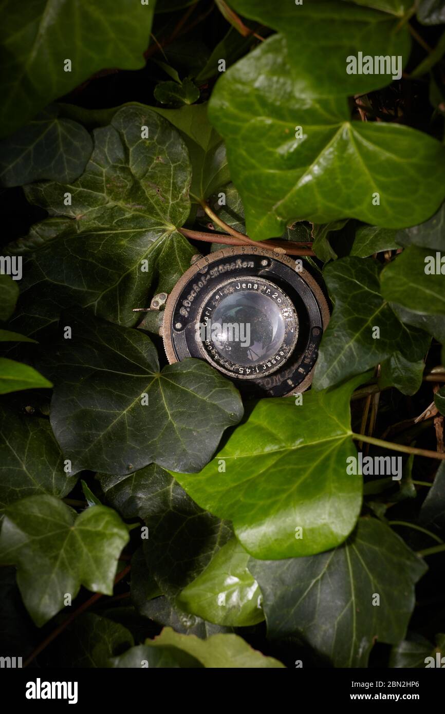 Photograph of a decaying old Zeiss Tessar lens lying in dense Ivy. Stock Photo