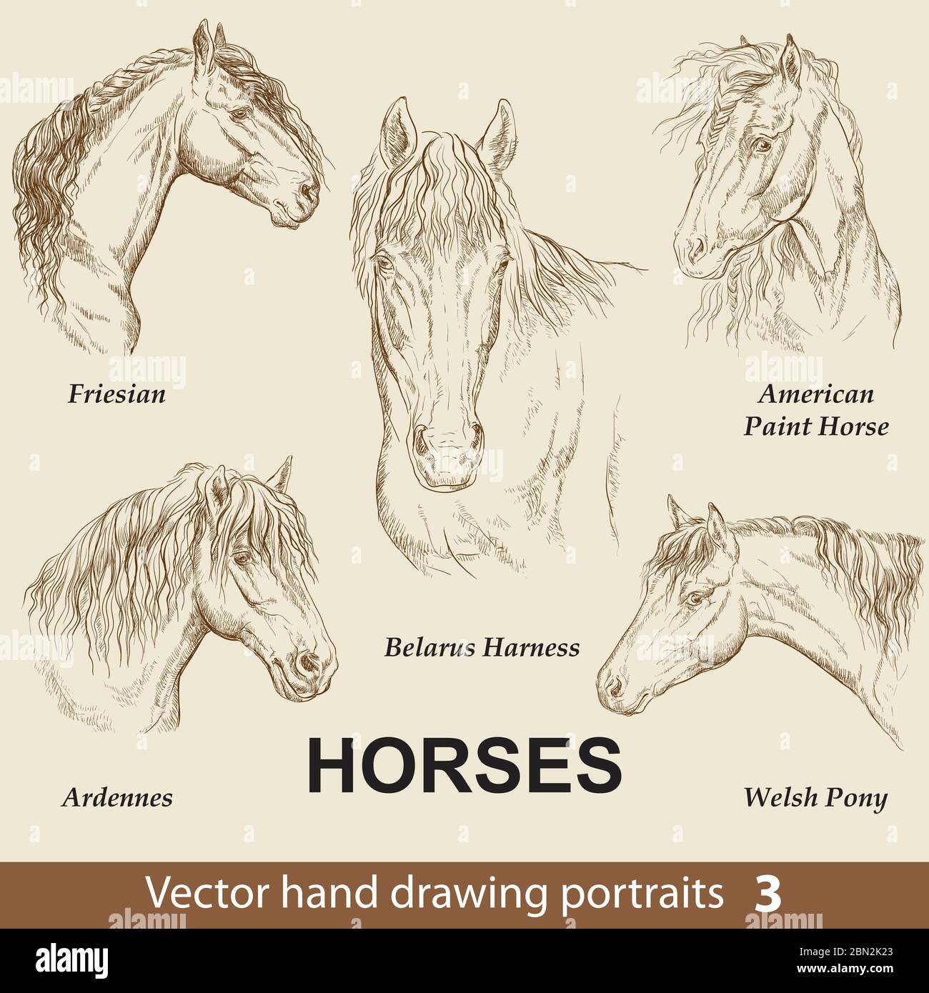 how to draw a realistic horse