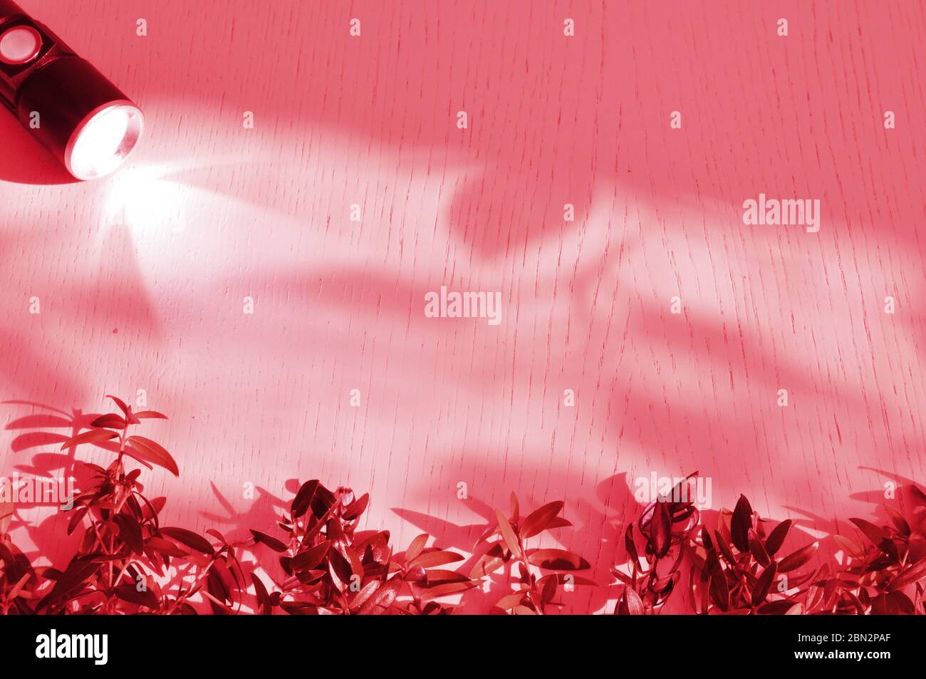 Lantern and ray of light in the dark on a wooden surface with twigs of myrtle plant. Surface with copy space. Stock Photo