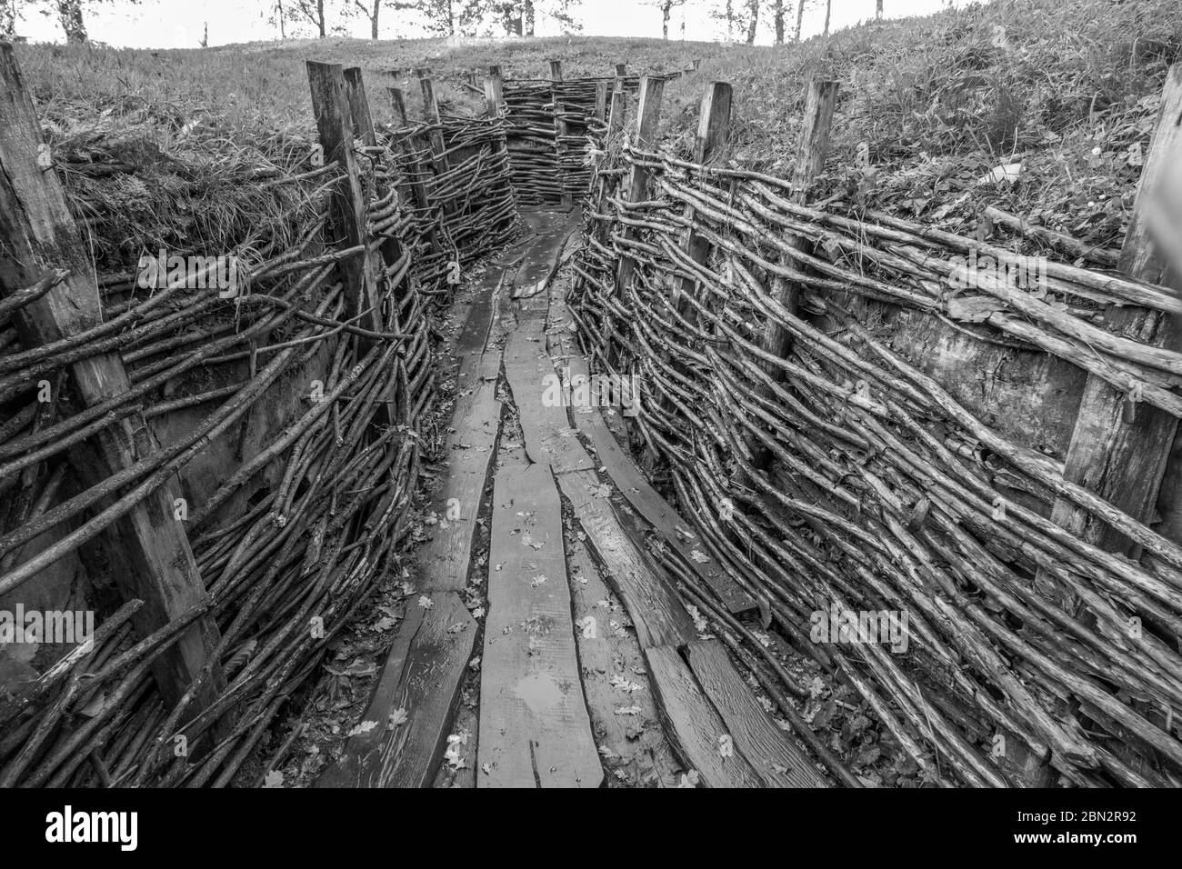 A German Army Trench System And Bunkers Used During World War 1 At Bayernwald Bayern Wood Near Ypres Belgium Stock Photo Alamy A German Army Trench System And Bunkers Used During World War 1 At Bayernwald Bayern Wood Near Ypres Belgium Stock Photo Alamy