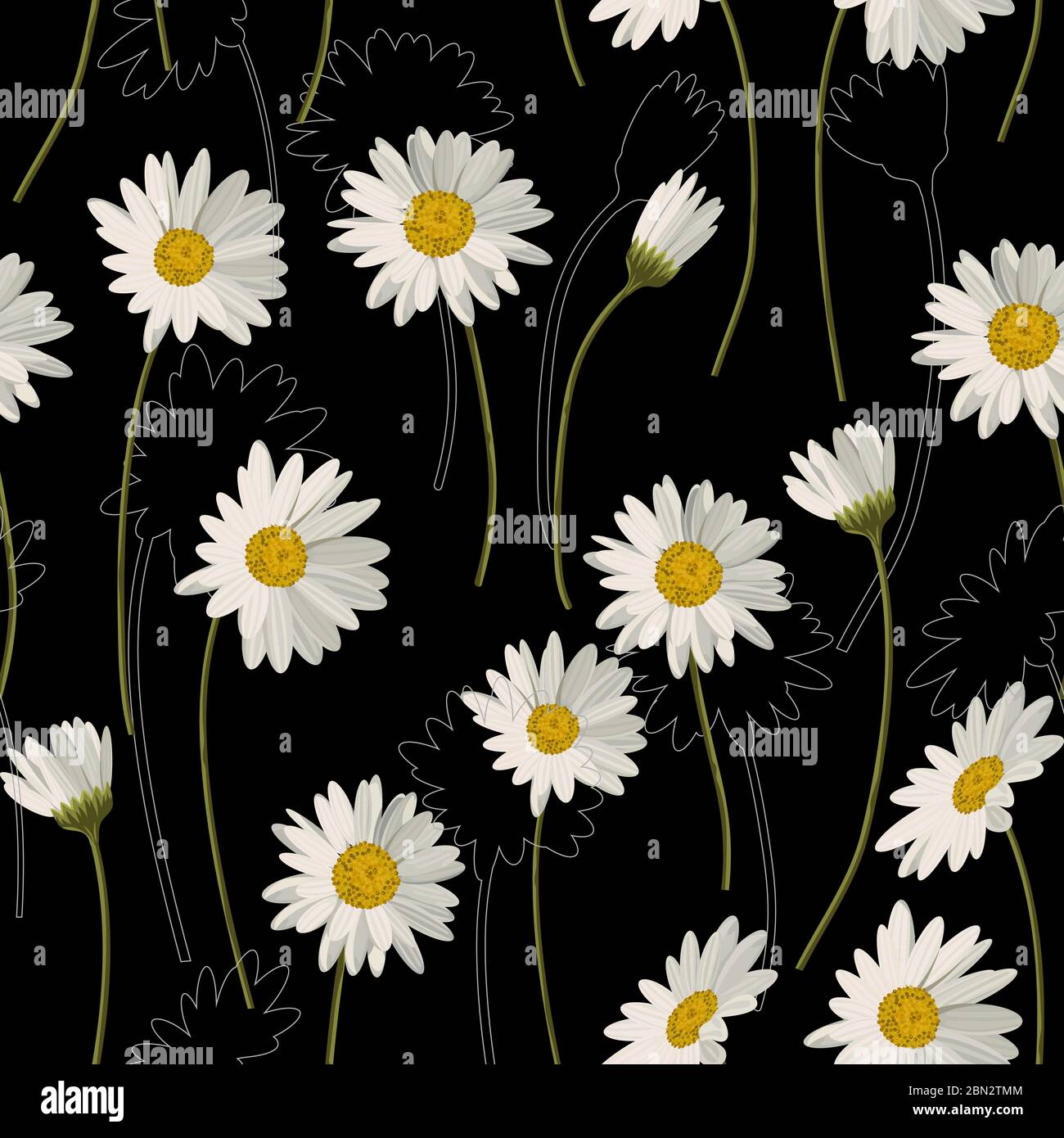 Seamless pattern with white daisies on black background. Vector ...
