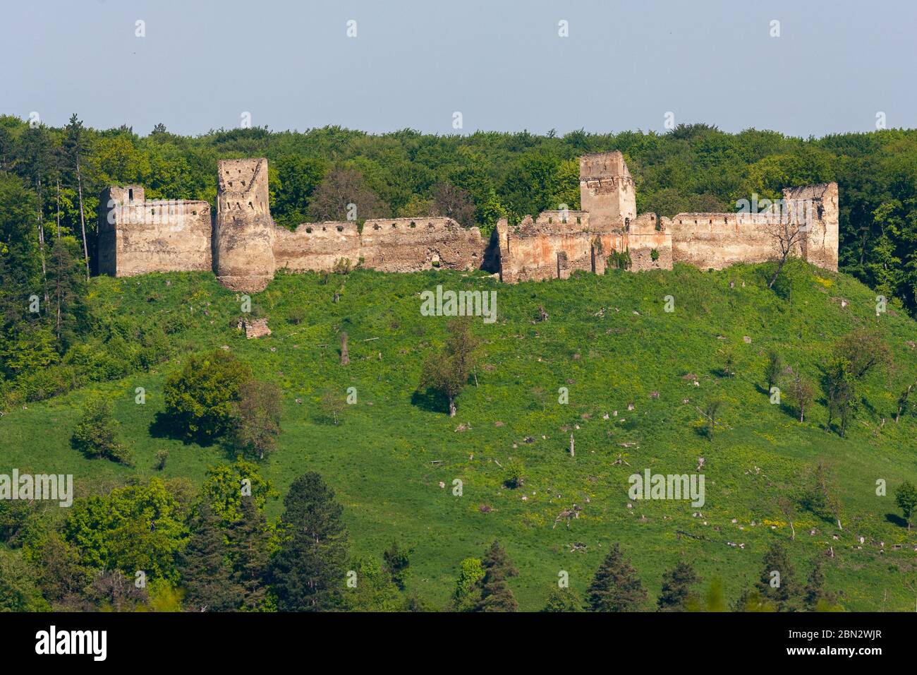 Ruins of medieval fortified saxon fortress in Saschiz village near ...