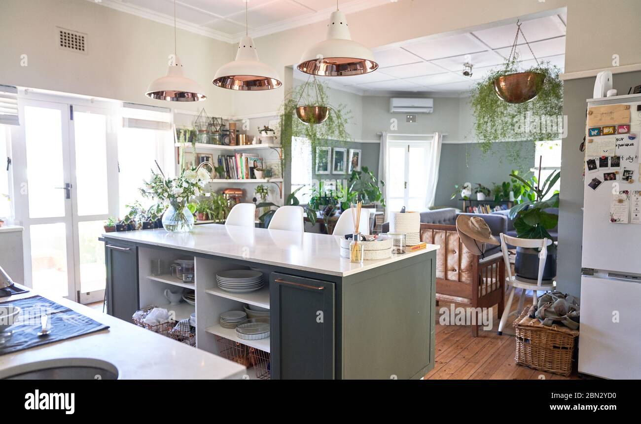 Domestic kitchen with kitchen island and hanging plants Stock Photo