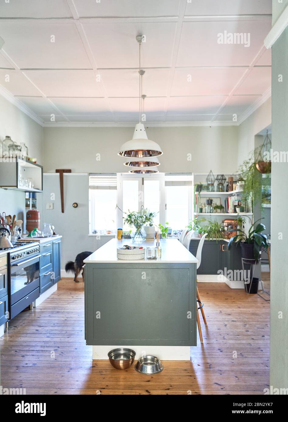 Kitchen with kitchen island and dog bowls Stock Photo