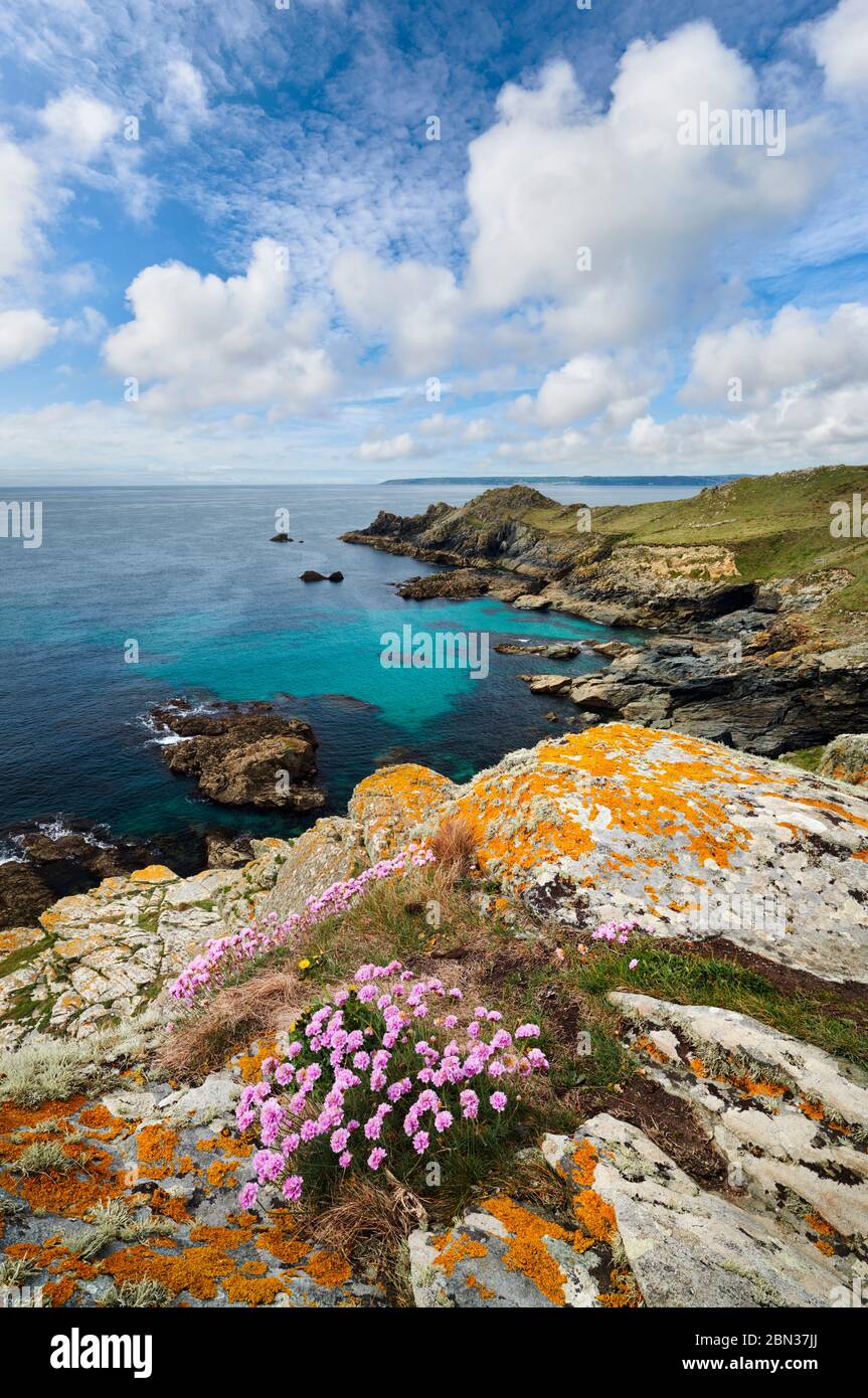 View overlooking Mounts bay and Cudden Point near Prussia Cove, Cornwall Stock Photo
