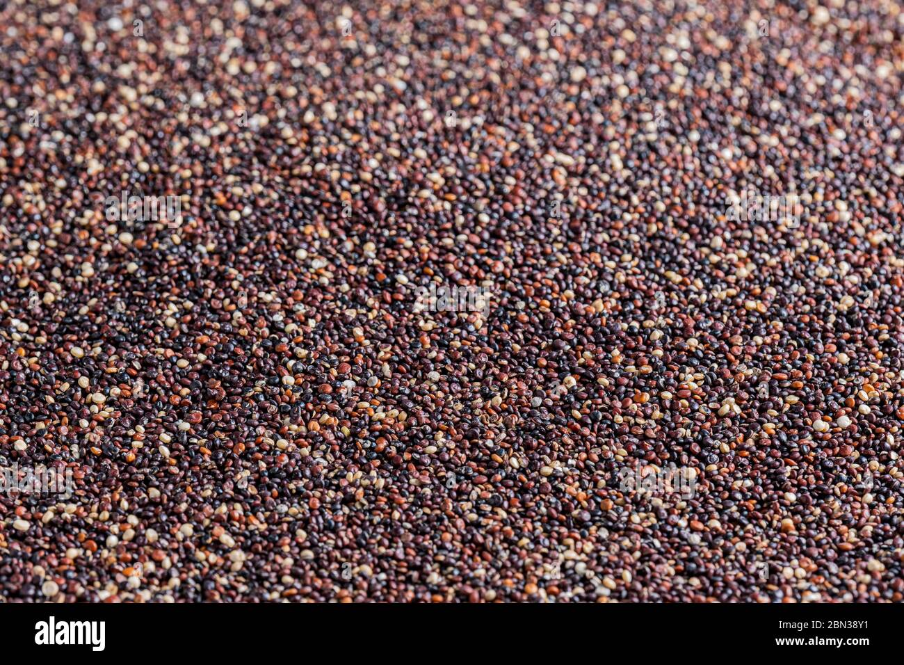 Red raw quinoa Stock Photo
