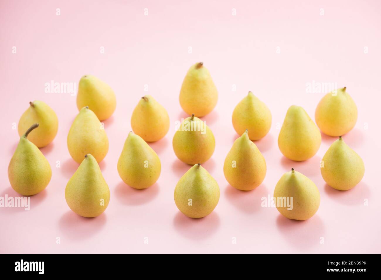 pears on a pink background Yellow lots of pears on a pink background