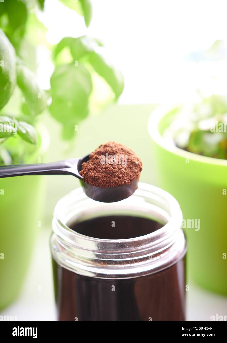 Focus on coffee powder ready for a homemade espresso and basil green in the background Stock Photo