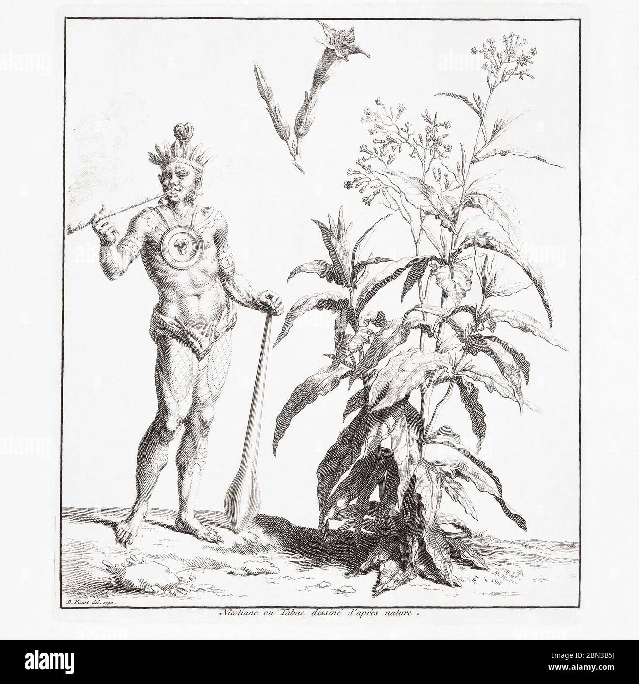 An American Indian smokes a pipe beside a tobacco plant.  After an early 18th century print by French engraver Bernard Picart. Stock Photo
