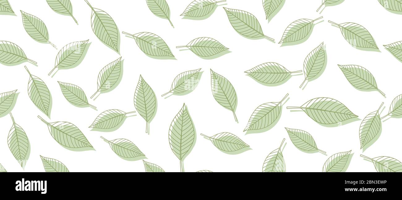 Green leaves background Stock Vector Image & Art - Alamy