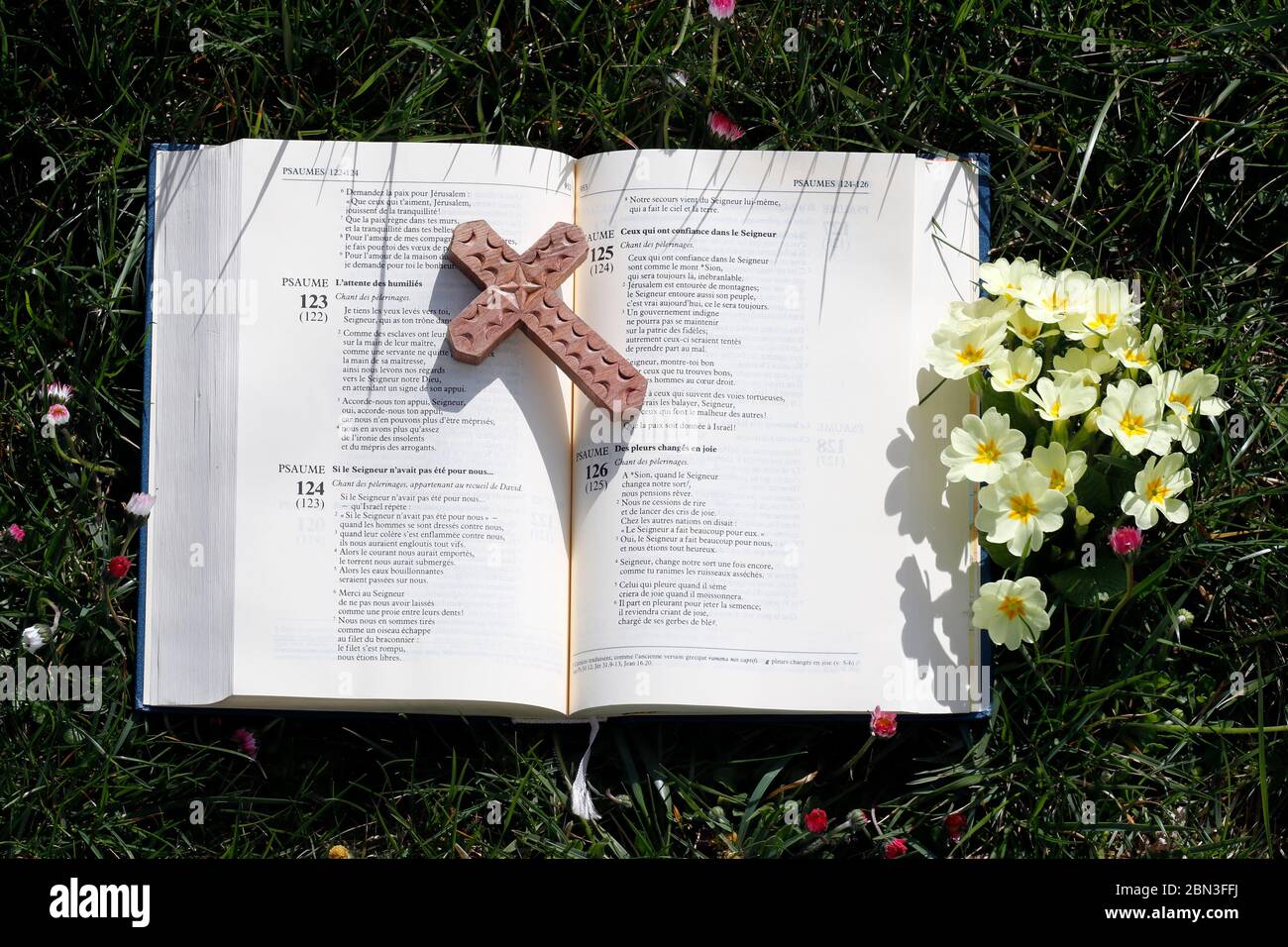 Open bible with cross on the grass. The psalms. Springtime Stock Photo