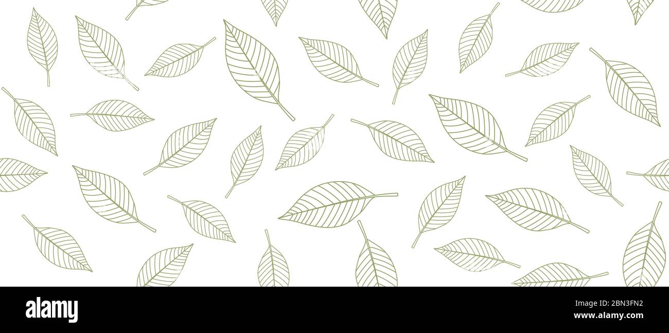 Green leaves background Stock Vector Image & Art - Alamy