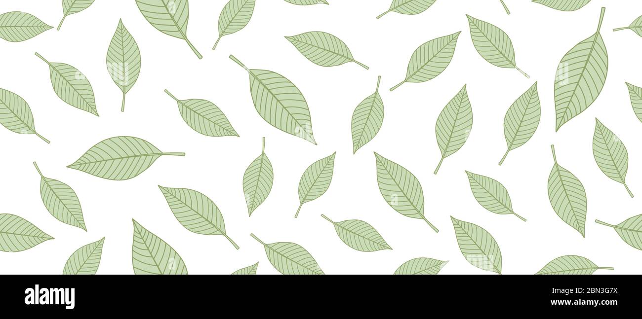 Green leaves background Stock Vector Image & Art - Alamy