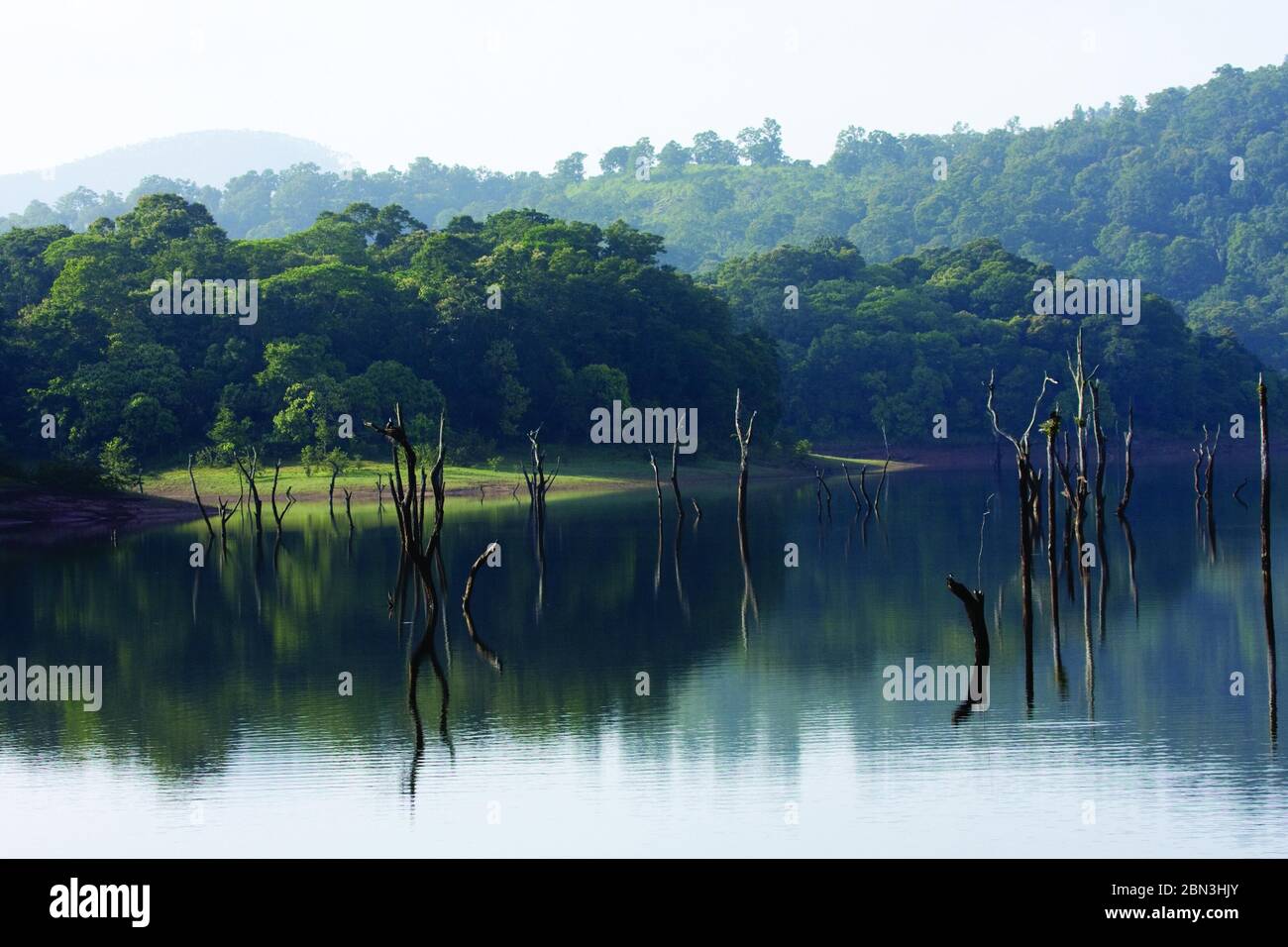 Periyar Lake in Thekkady, Kerala Stock Photo