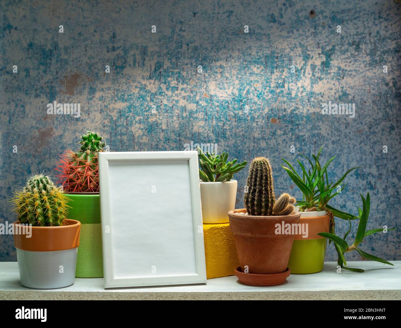 Room decoration with potted cactus, succulent plant and picture frame