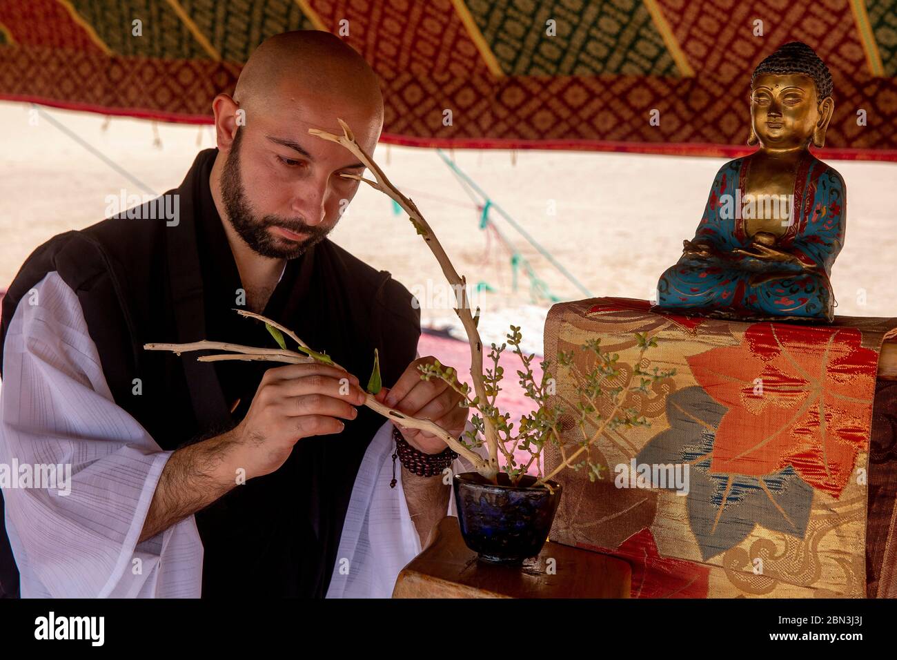 Zen buddhist making ikebana on an altar, Morocco Stock Photo Alamy