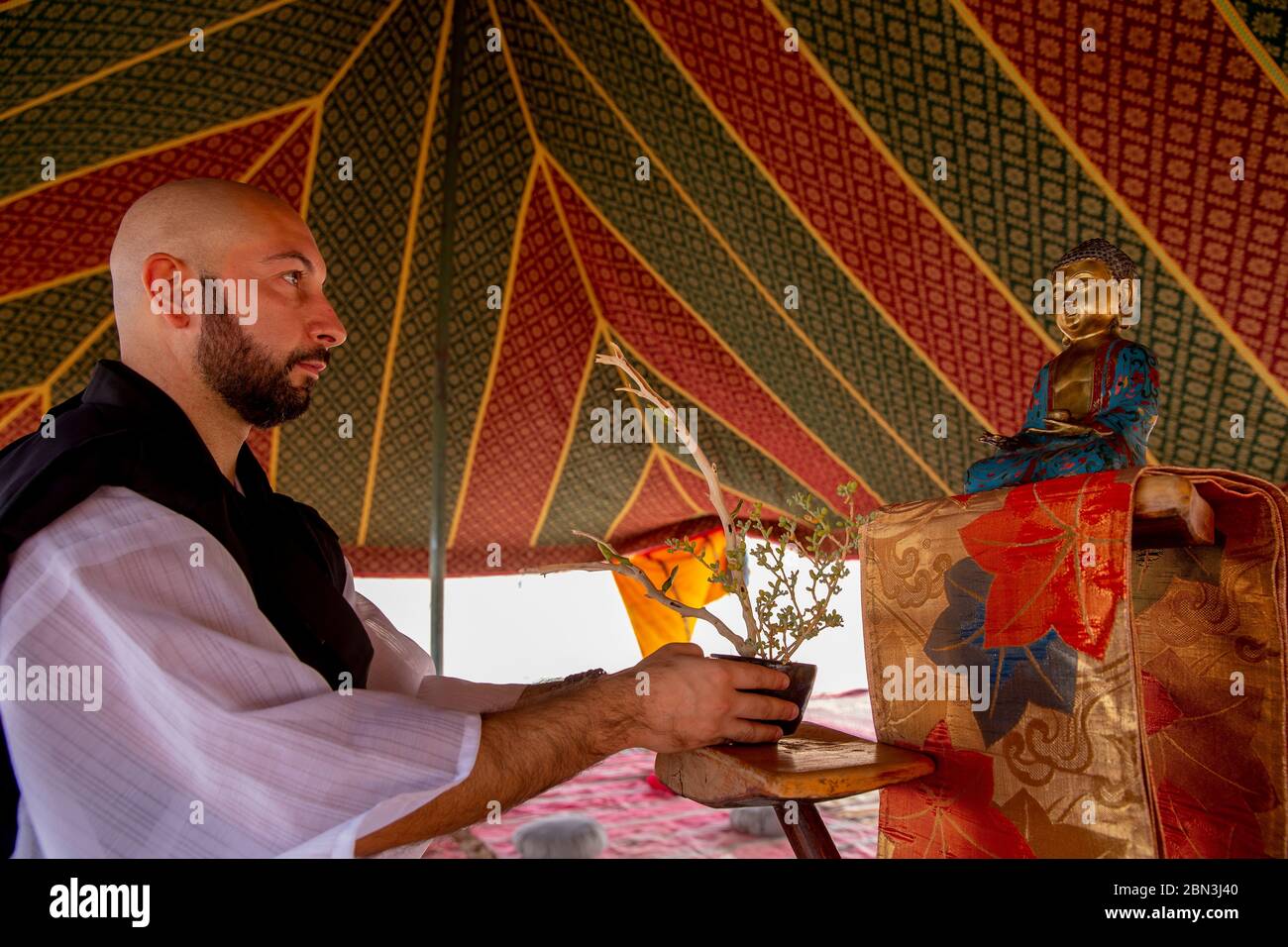Zen buddhist making ikebana on an altar, Morocco Stock Photo Alamy
