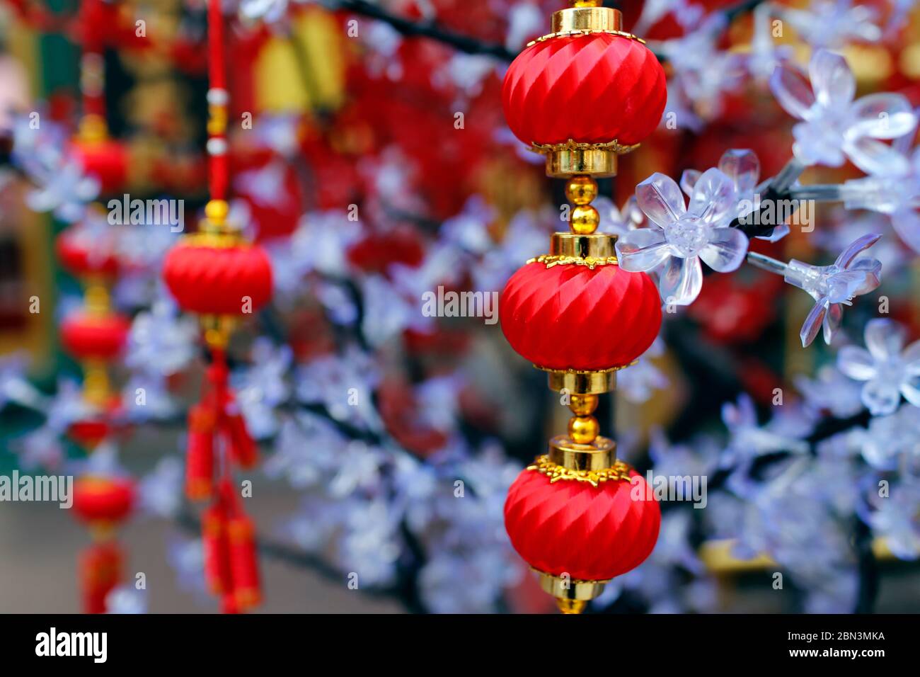 Guan Di chinese taoist temple. Red traditional lanterns hanging on tree ...