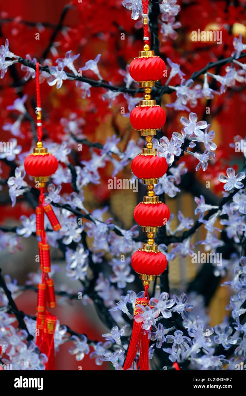 Guan Di chinese taoist temple. Red traditional lanterns hanging on tree ...