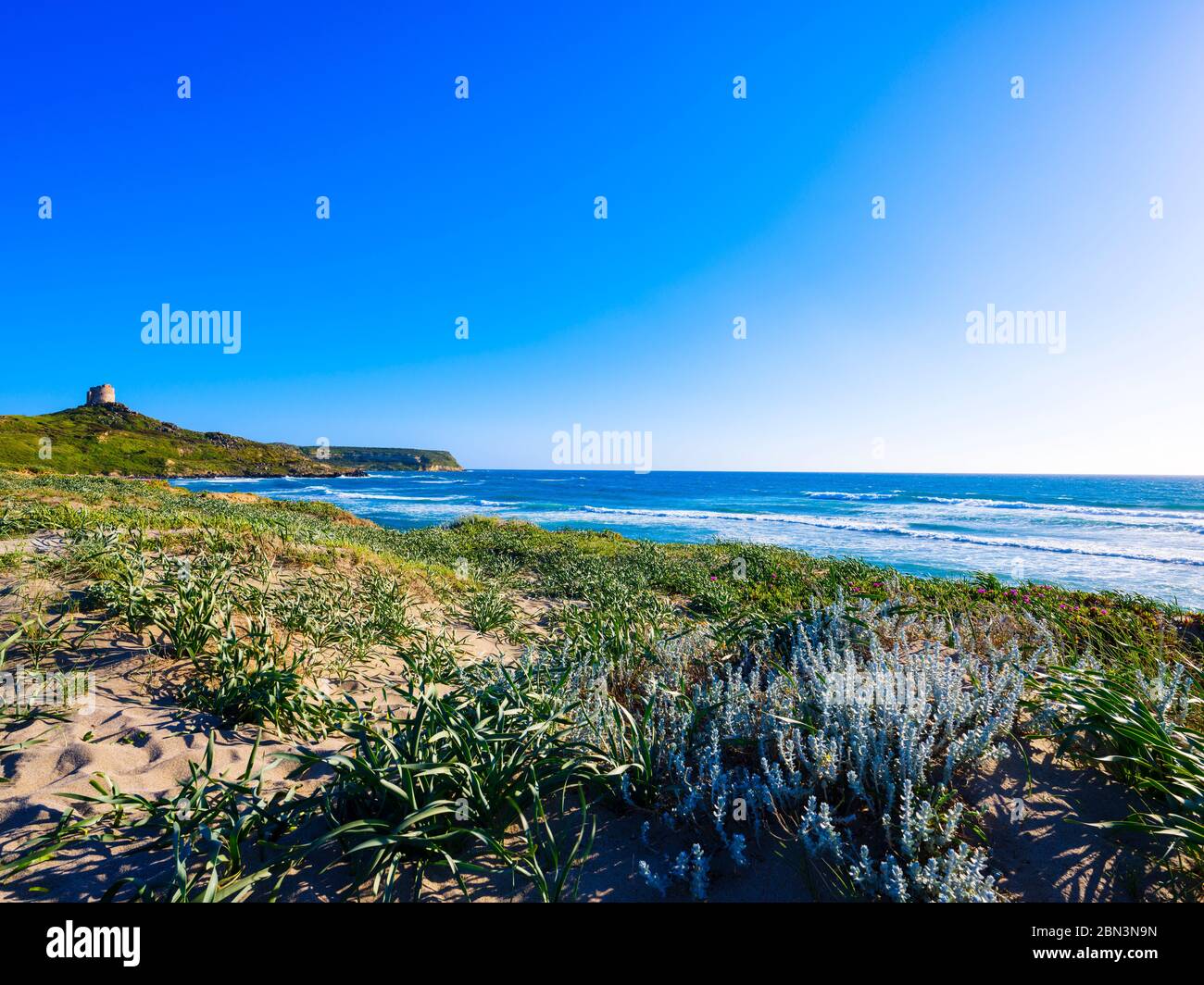 Capo San Marco beach in spring with tower view, Cabras, Sardinia, Italy Stock Photo