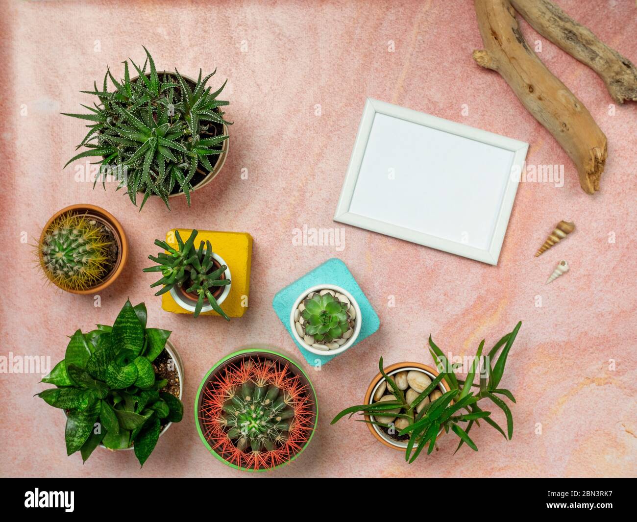 Download Top View Of Picture Frame Mockup With Cactus Rocks Sea Shelves And Summer Decorations On Pink Sandy Table Stock Photo Alamy