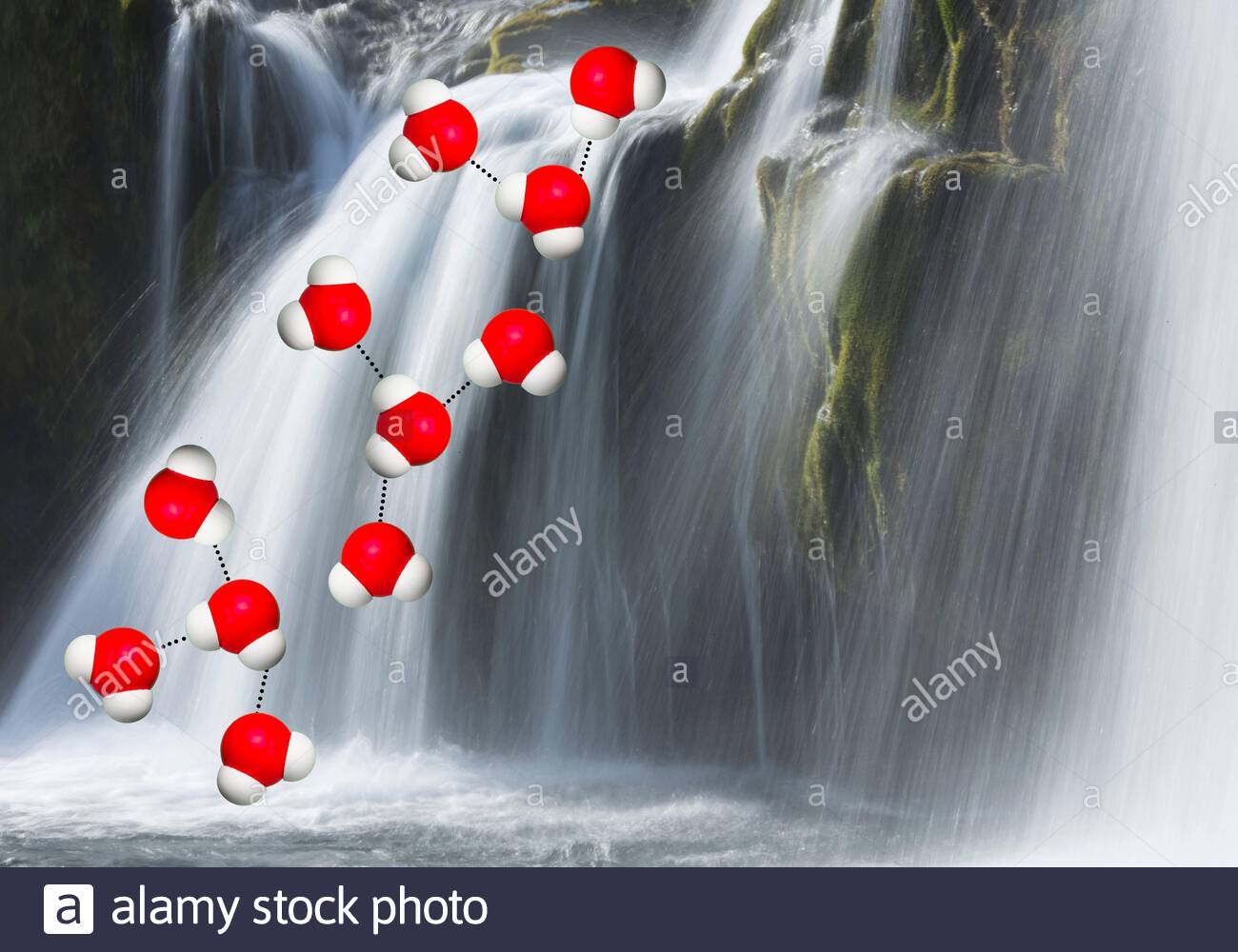 Oxygen Cycle High Resolution Stock Photography and Images - Alamy