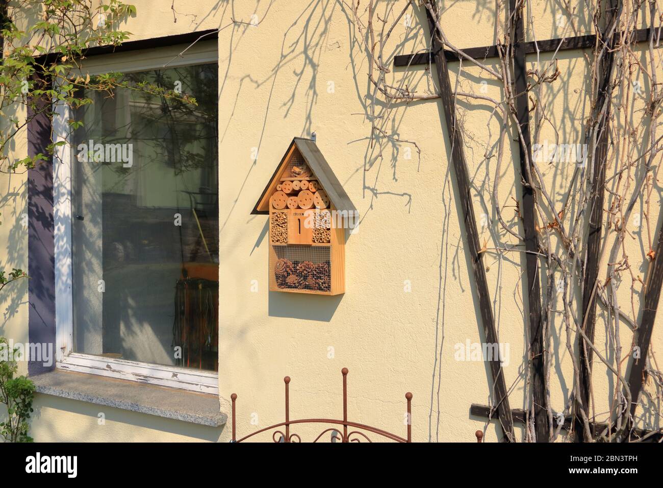 a wild bee and insect shelter hotel Stock Photo - Alamy