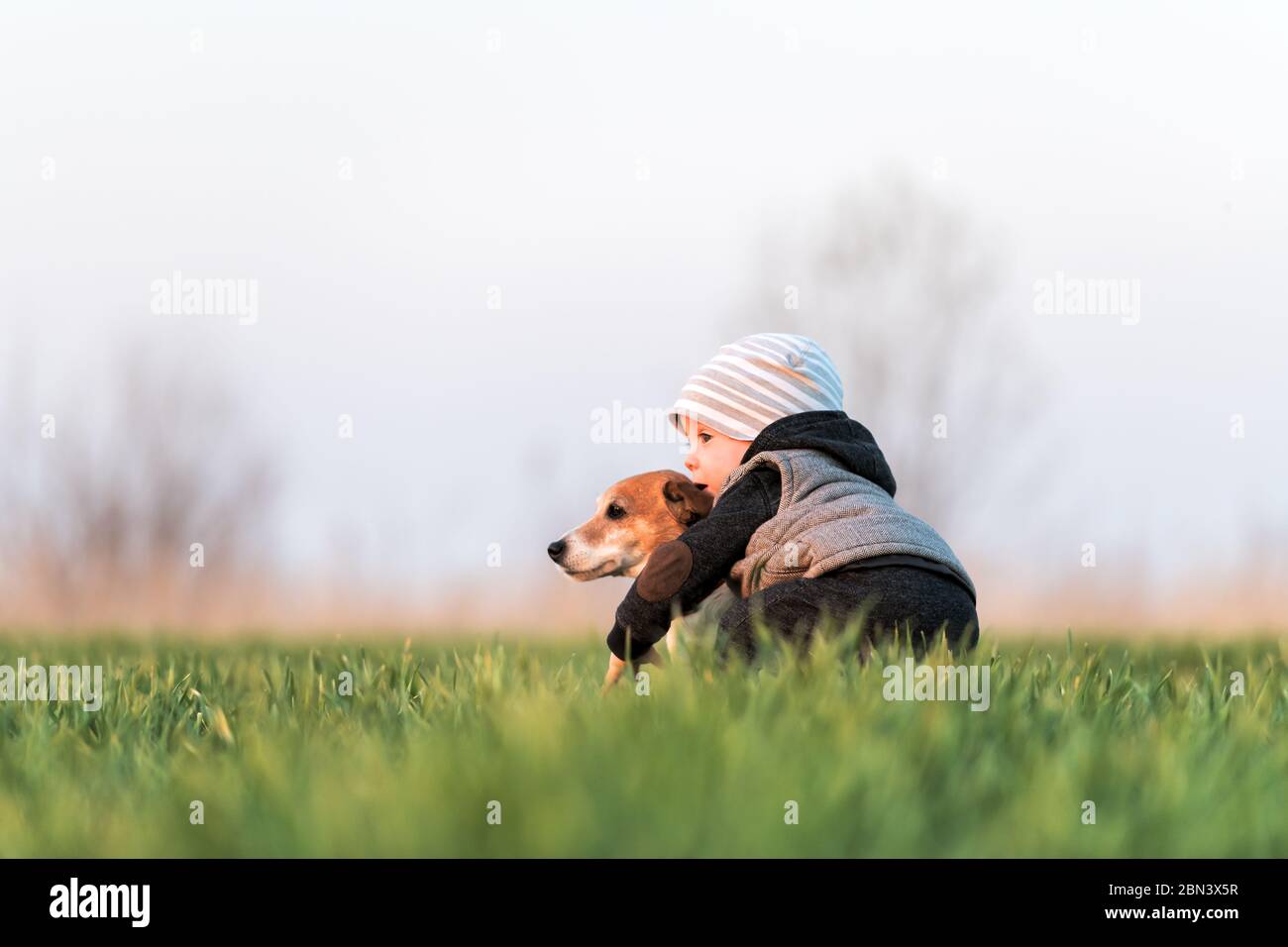 Small kid in yellow jacket with jack russel terrier puppy embrace one another on spring field on sunset time Stock Photo