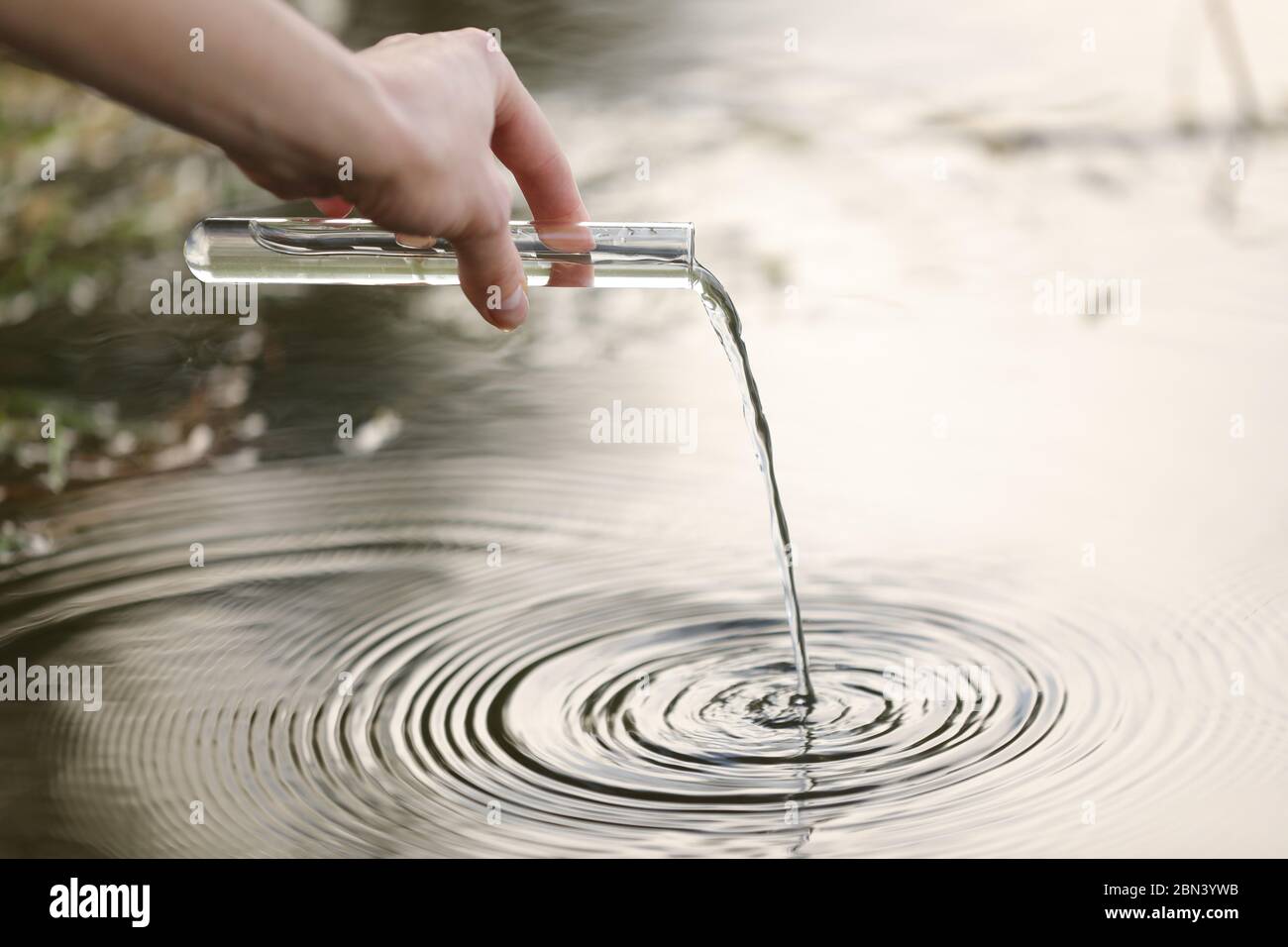 Pond water pollution concept. Scientist biologist and researcher takes ...