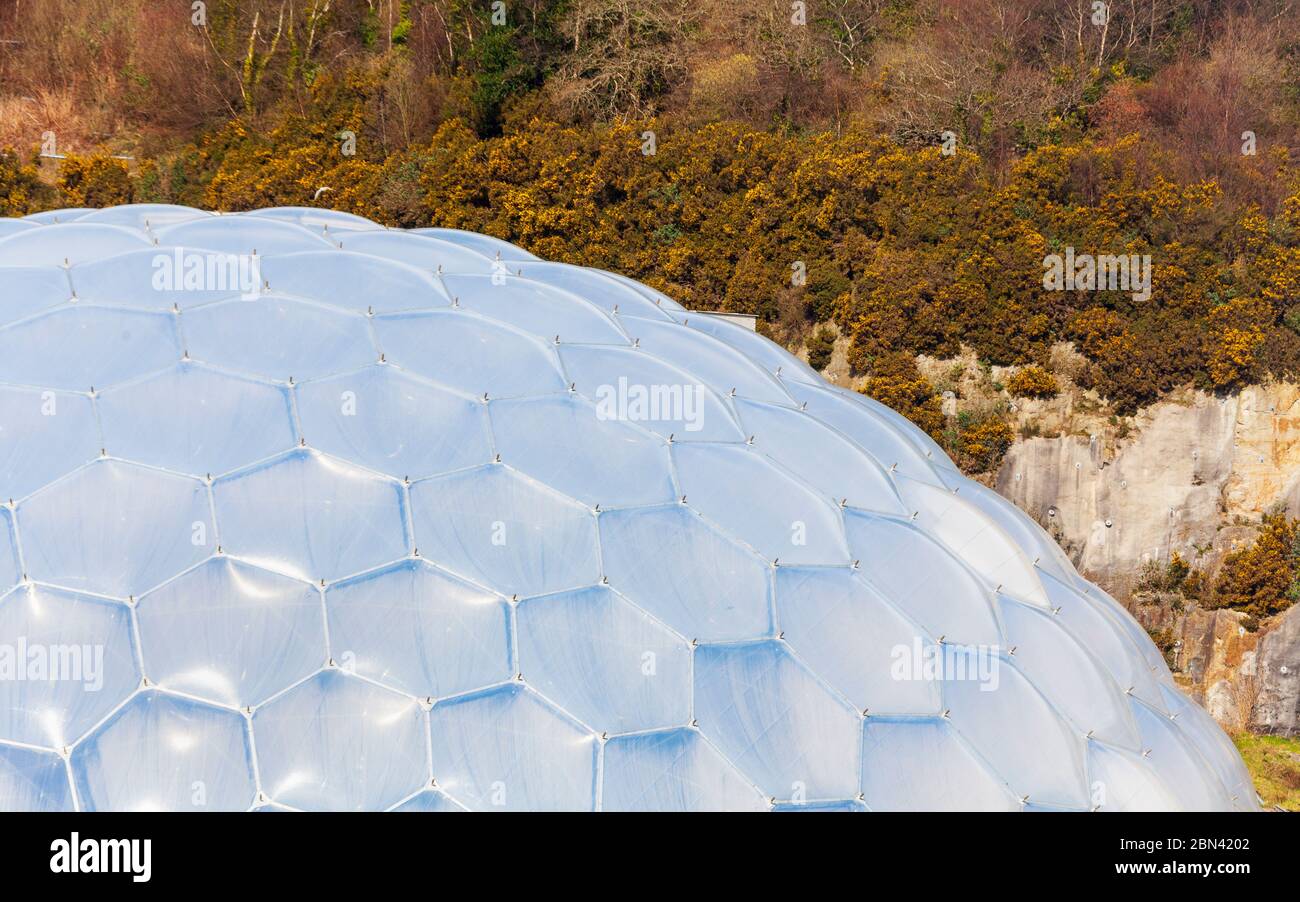Detail of the hexagonal geodesic biome dome of the Eden Project in Cornwall, England Stock Photo