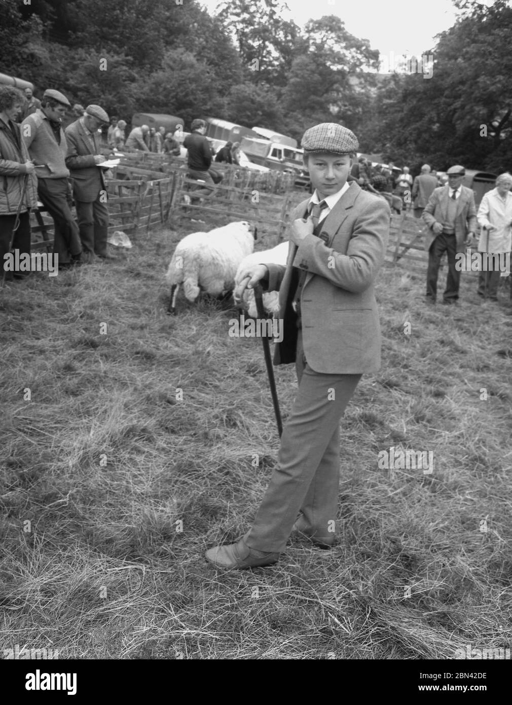 1980s, a well-dressed young male judge, in a sports jacket and tie and cloth cap, standing in a sheep pen at the Farndale Show, Yorkshire, England, UK. Stock Photo